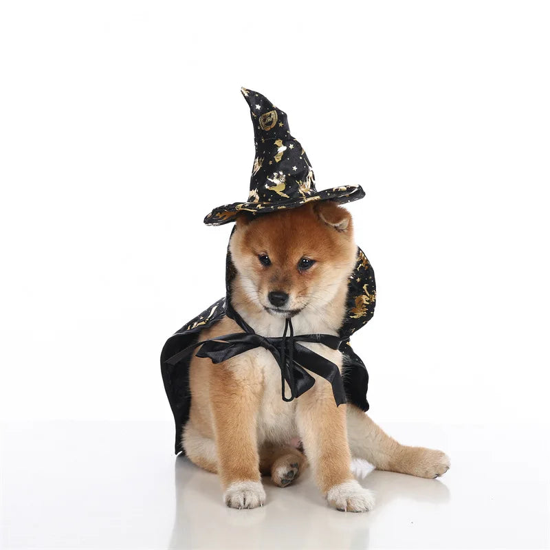 Halloween Witch Costume for Cats & Small Dogs – Hat & Cape Set