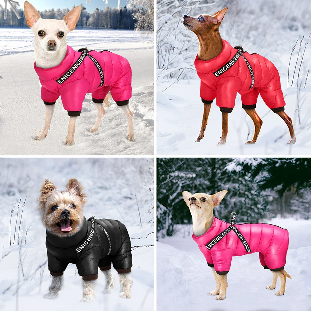 Winter Dog Jacket with Harness – Super Warm & Waterproof Coat for Small & Medium Dogs
