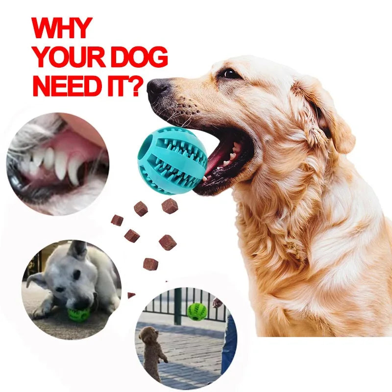 Interactive Dog Chew Ball – Soft, Durable & Tooth-Cleaning Toy