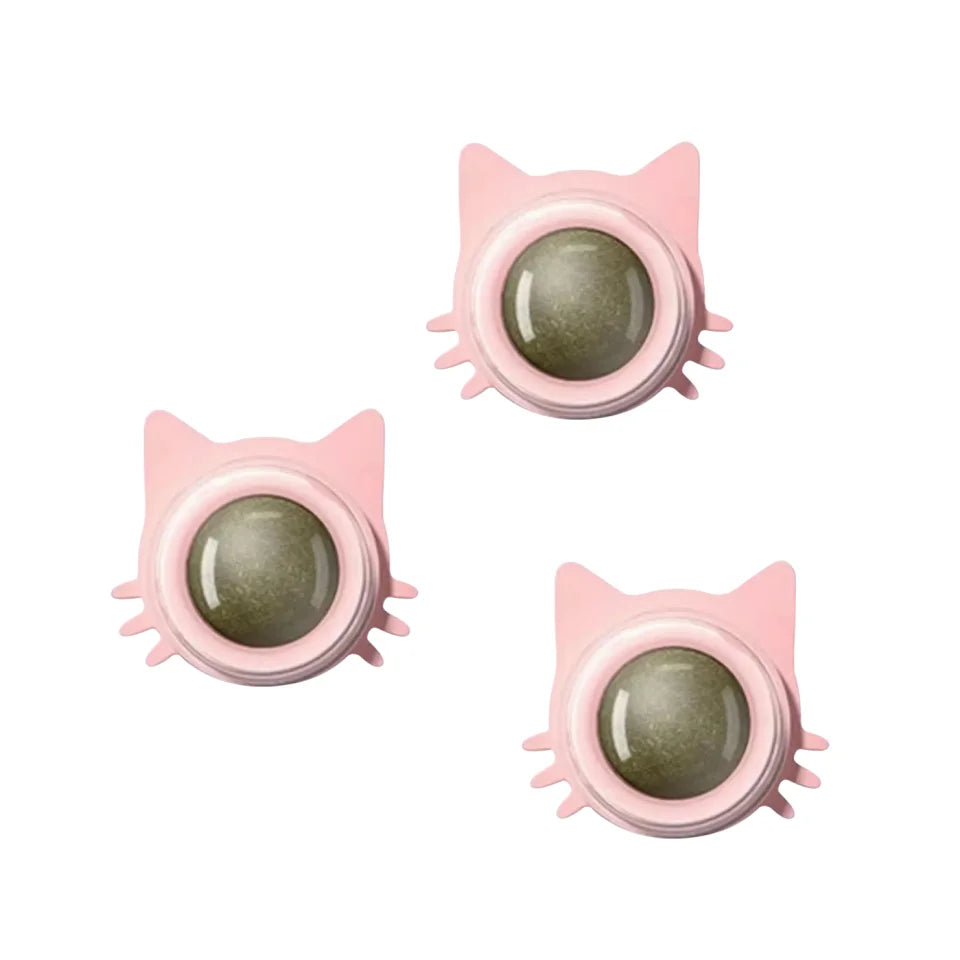 Interactive Catnip Ball – Durable Chew Toy for Cats