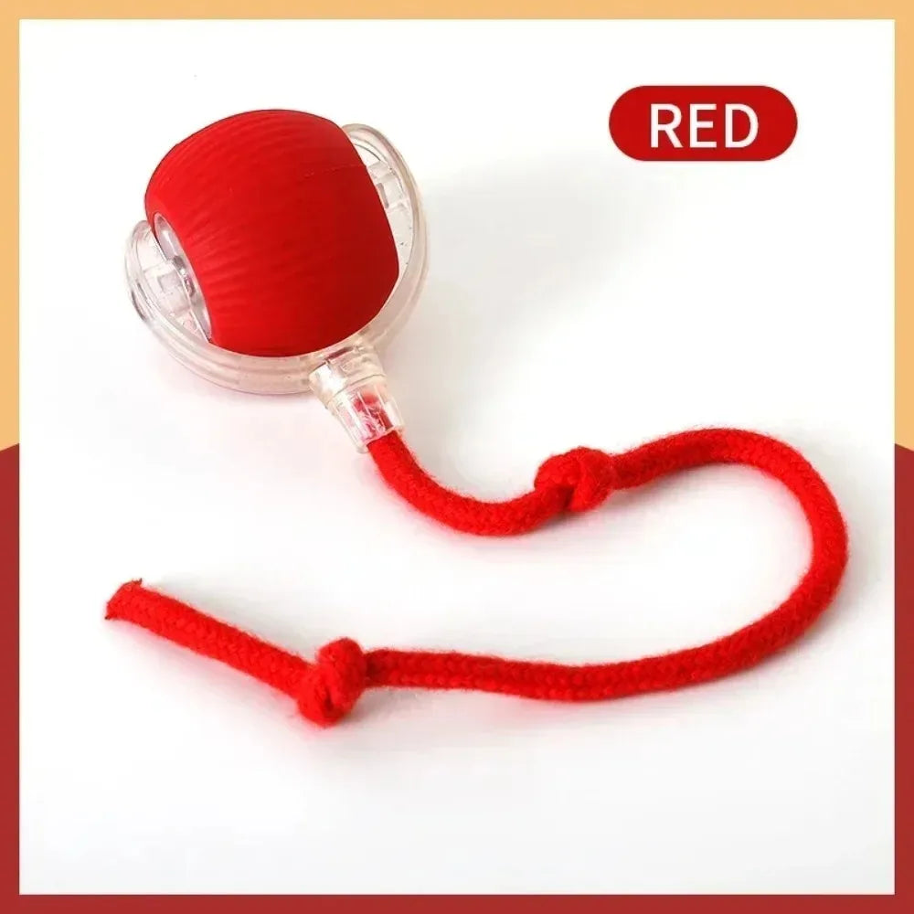 Smart Interactive Cat Ball – Rechargeable Rolling Toy with Faux Tail