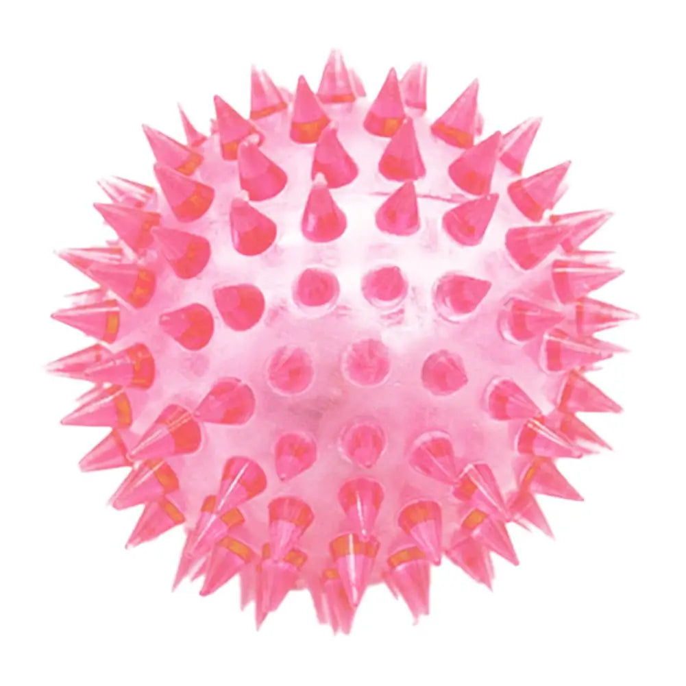 Bite-Resistant Dog Toy – TPR Sound Ball for Medium & Large Dogs