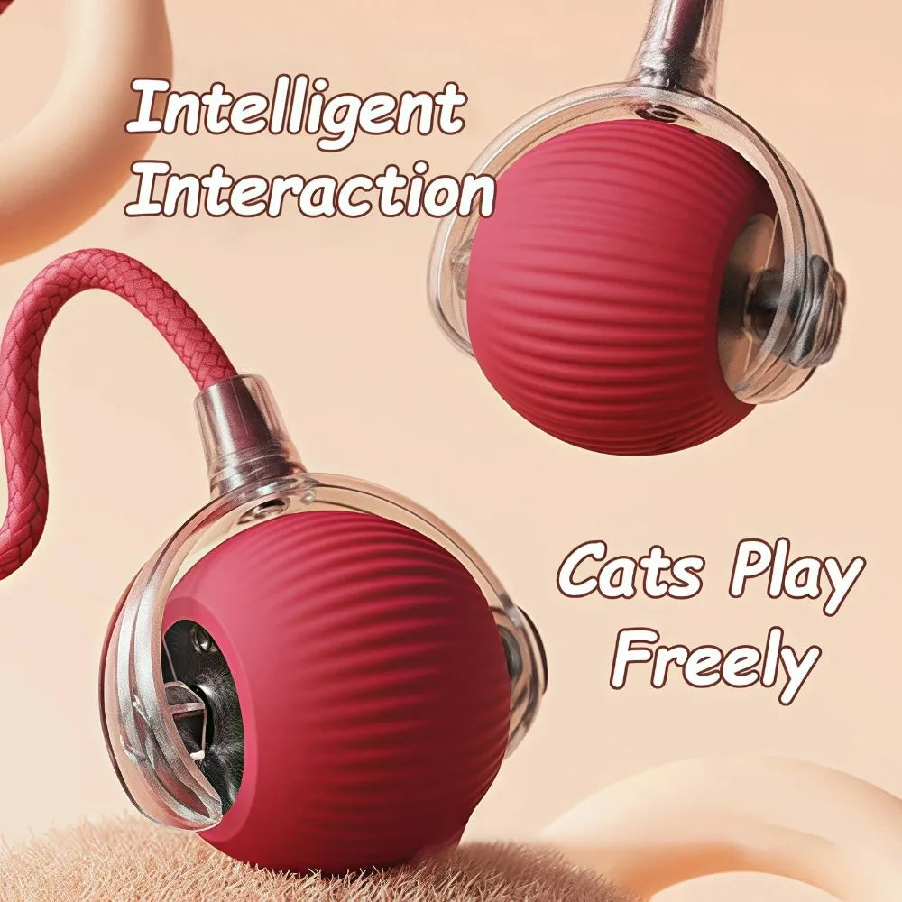 Smart Interactive Cat Ball – Rechargeable Rolling Toy with Faux Tail