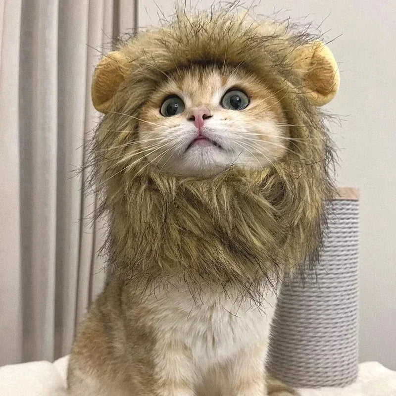 Cute Lion Mane Costume for Cats & Small Dogs – Wig Hat Cosplay