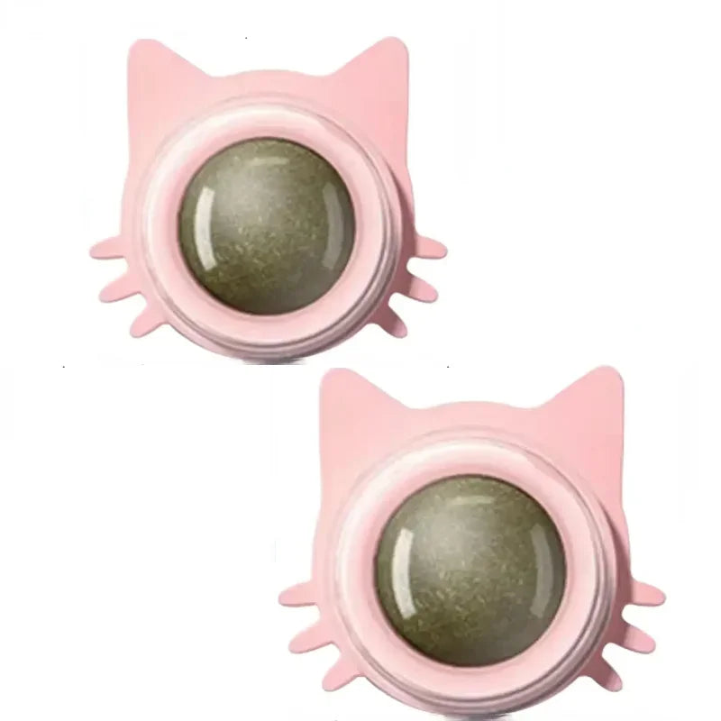 Interactive Catnip Ball – Durable Chew Toy for Cats