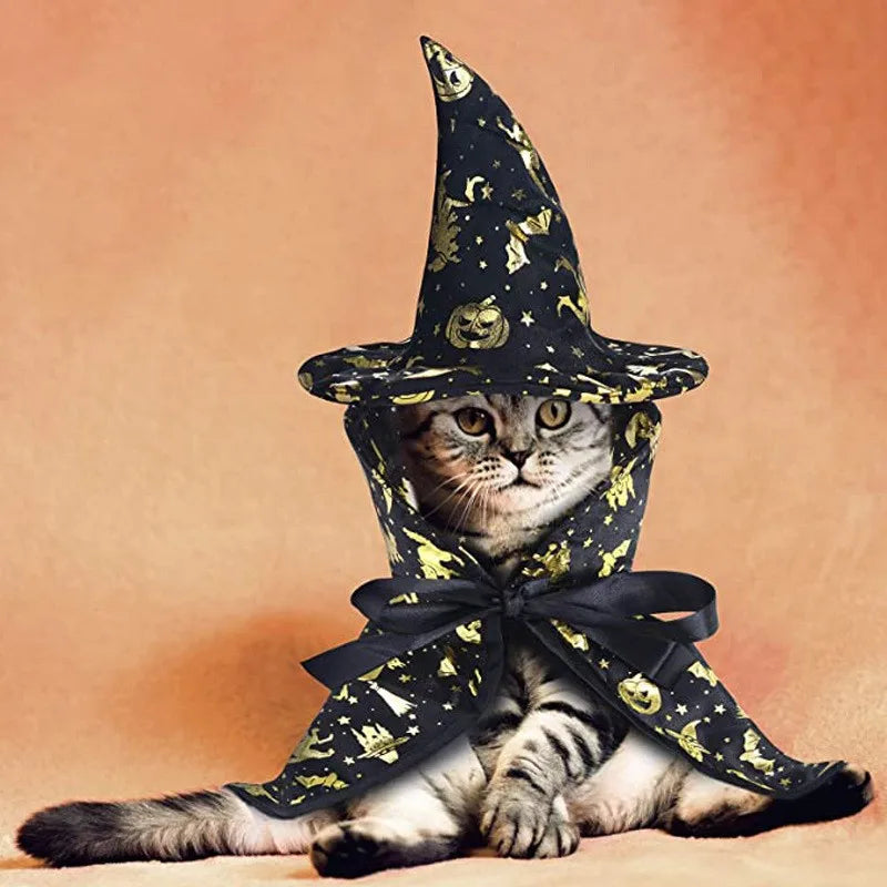 Halloween Witch Costume for Cats & Small Dogs – Hat & Cape Set