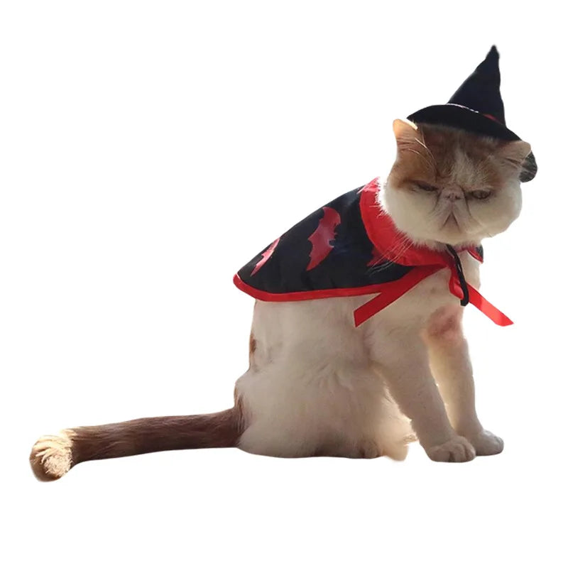 Halloween & Christmas Magic Cloak for Cats & Dogs – Transformation Costume