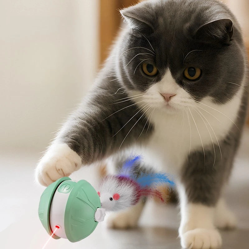 Self-Play Cat Toy Ball – Durable Rolling Laser for Indoor Cats