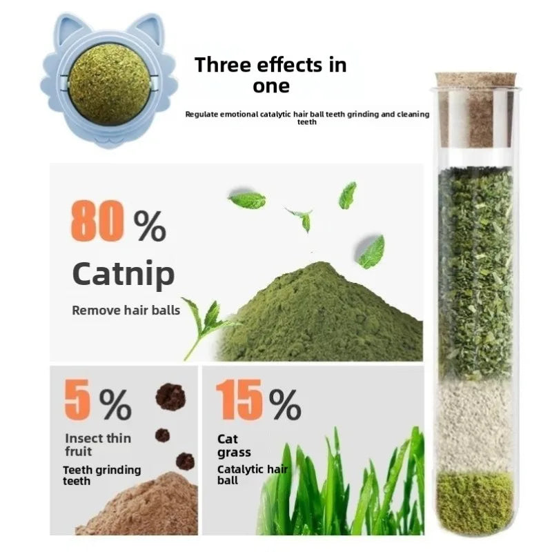 Interactive Catnip Ball – Durable Chew Toy for Cats