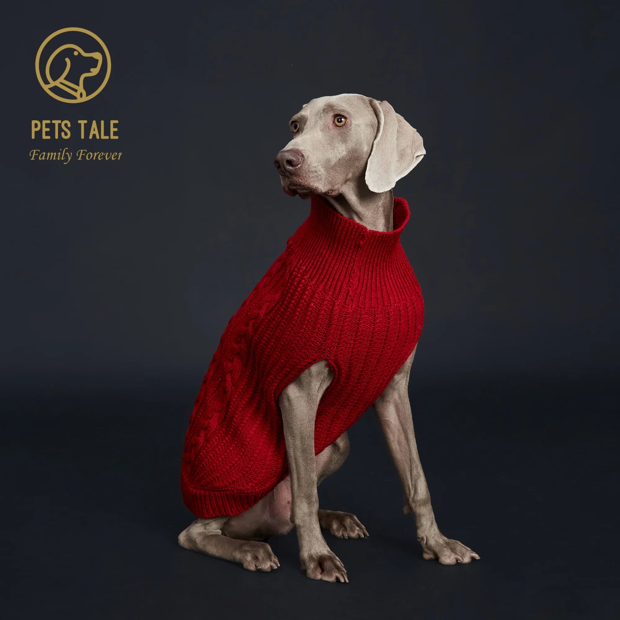 Cozy Winter Pet Sweater – Warm & Stylish for Dogs