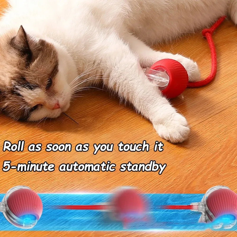 Smart Interactive Cat Ball – Rechargeable Rolling Toy with Faux Tail