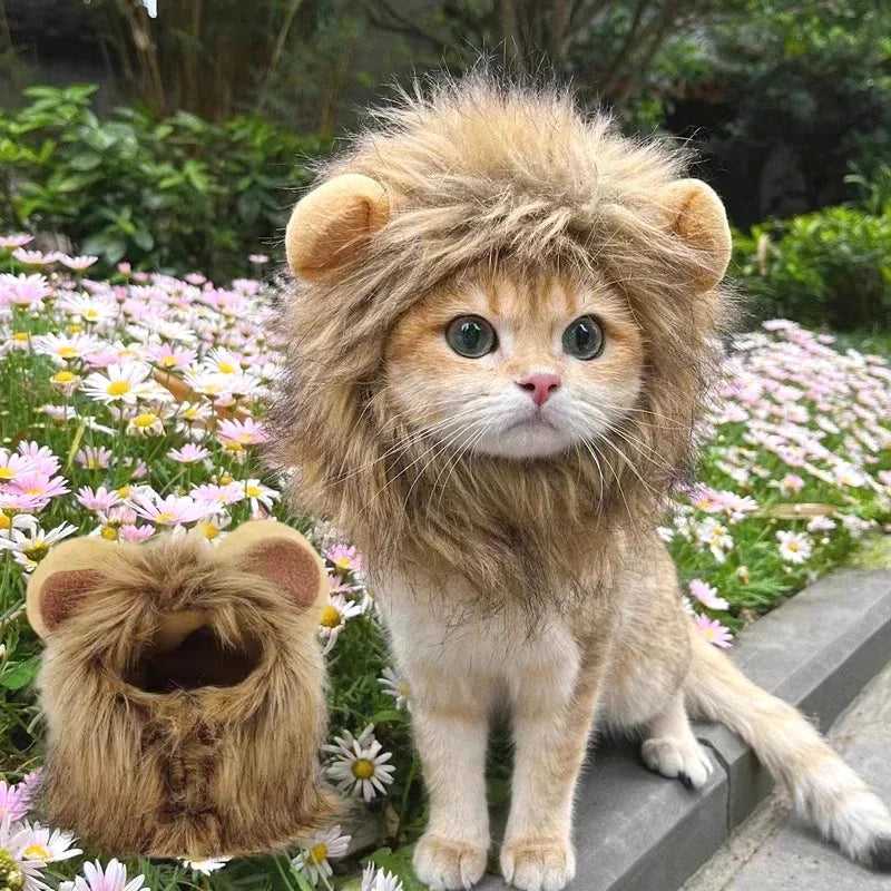 Cute Lion Mane Costume for Cats & Small Dogs – Wig Hat Cosplay
