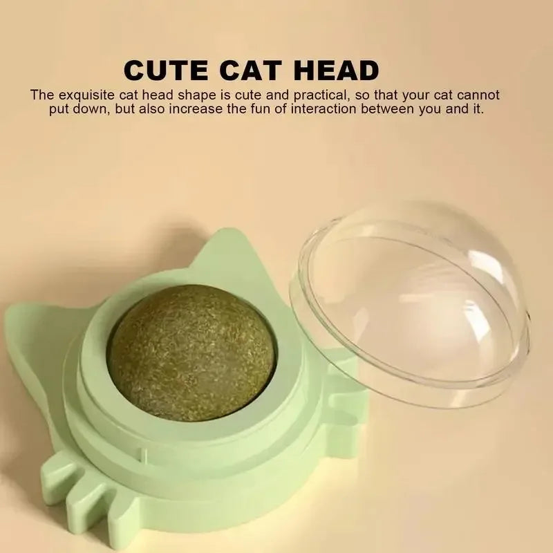 Interactive Catnip Ball – Durable Chew Toy for Cats