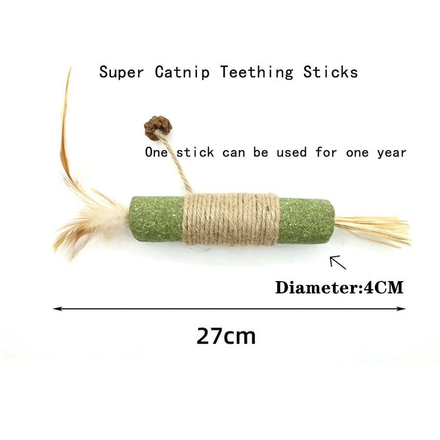 Interactive Plush Catnip Ball – Smart Training Toy