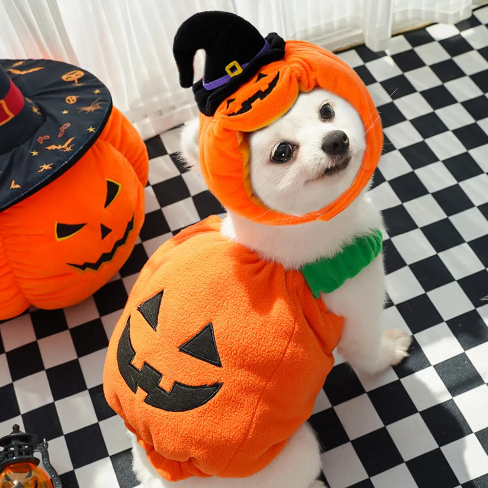 Halloween Pumpkin Costume for Cats & Dogs – Cute Hat & Vest