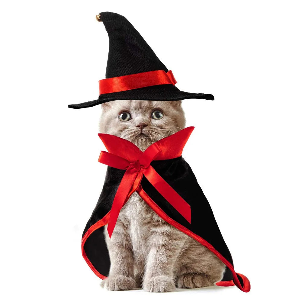 Halloween Witch Costume for Cats & Small Dogs – Hat & Cape Set
