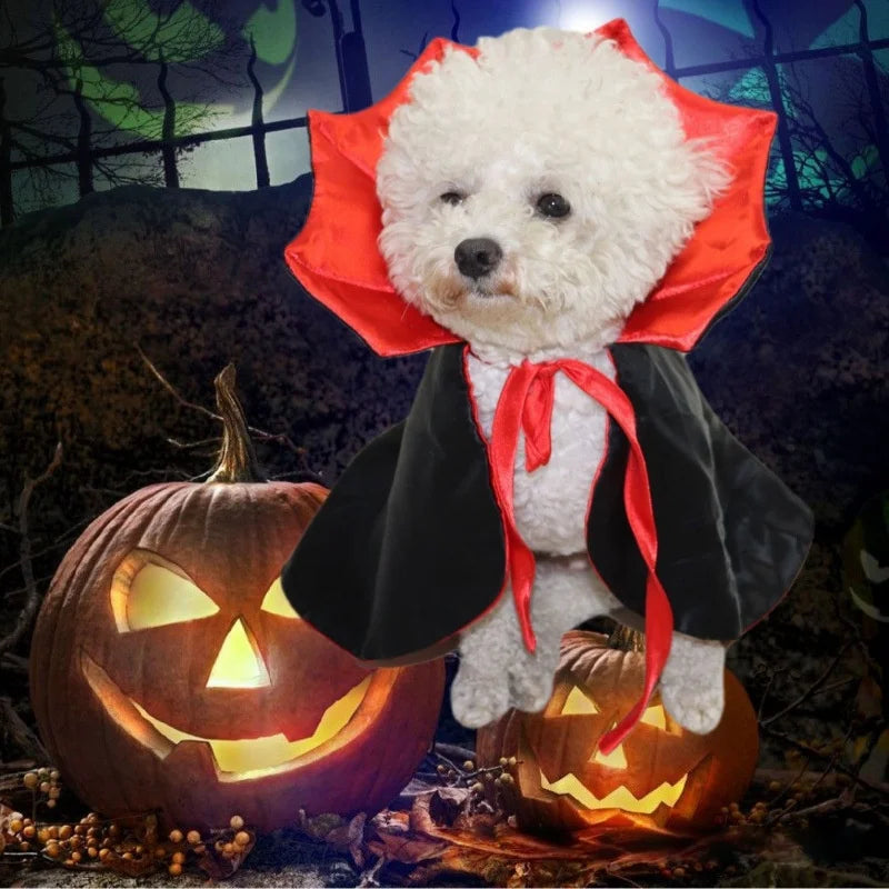 Halloween Bat Cape for Cats & Small Dogs – Spooky Vampire Cloak