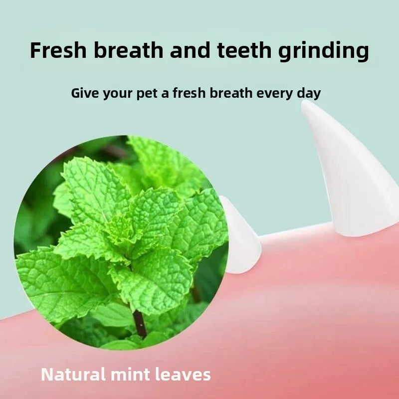 Interactive Catnip Ball – Durable Chew Toy for Cats