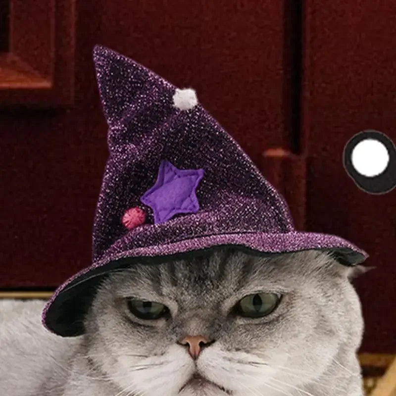 Halloween Cat & Dog Costume – Wizard Cloak with Witch Hat (S/M)