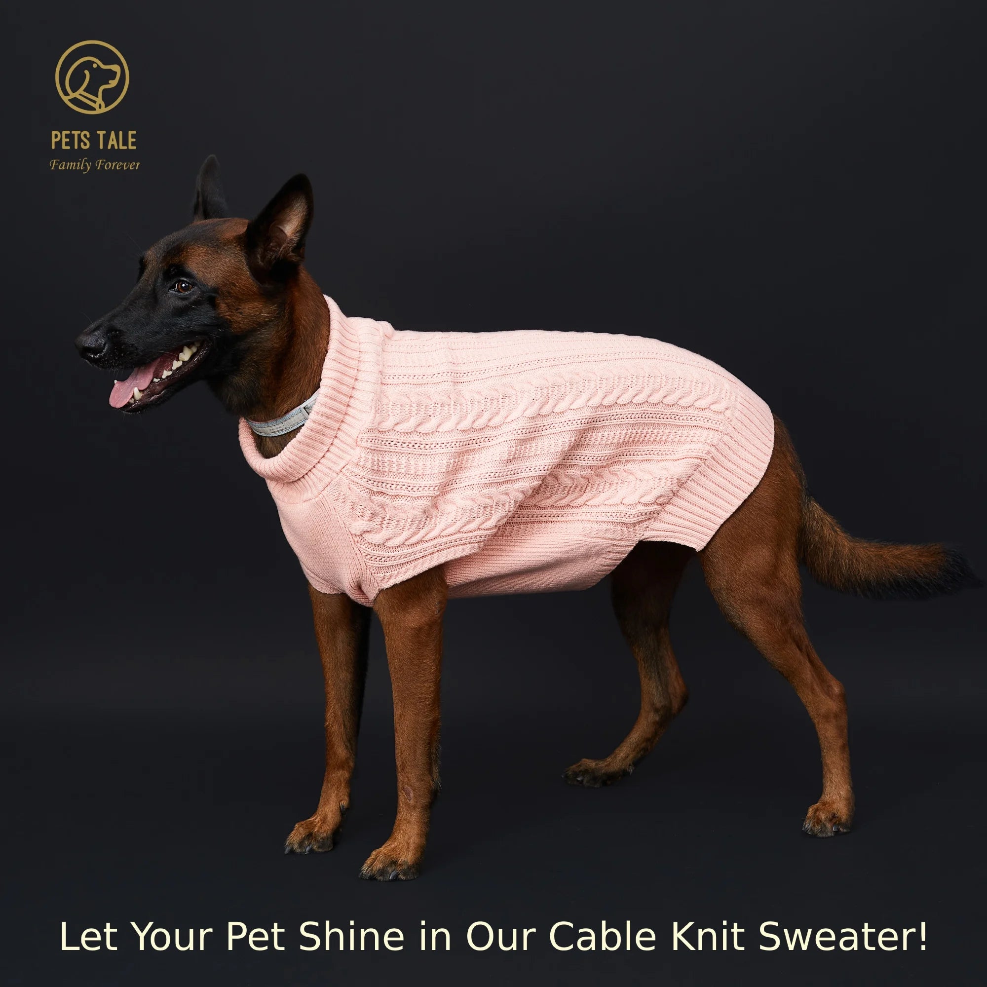 Cable Knit Dog Sweater – Soft High Collar with Leash Hole, 4 Colors