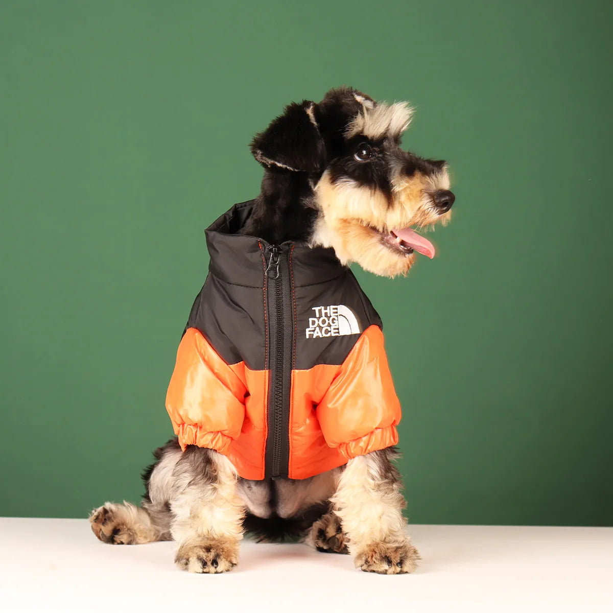 Winter Dog Jacket – Warm, Windproof & Reflective Coat for Small & Medium Dogs