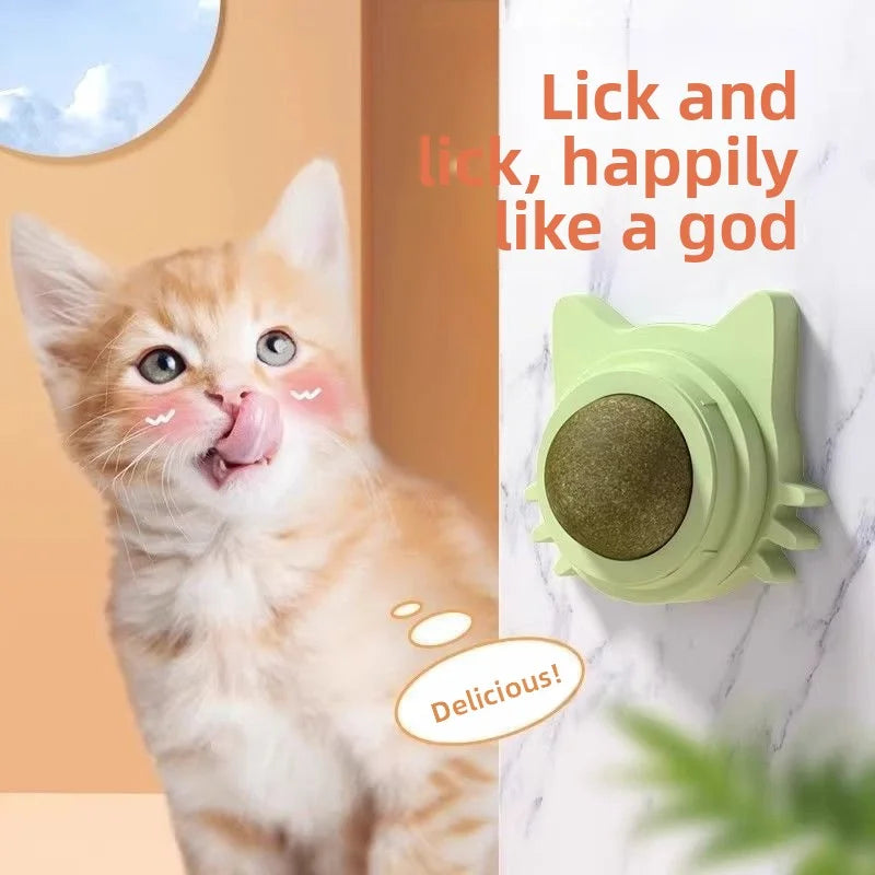 Interactive Catnip Ball – Durable Chew Toy for Cats