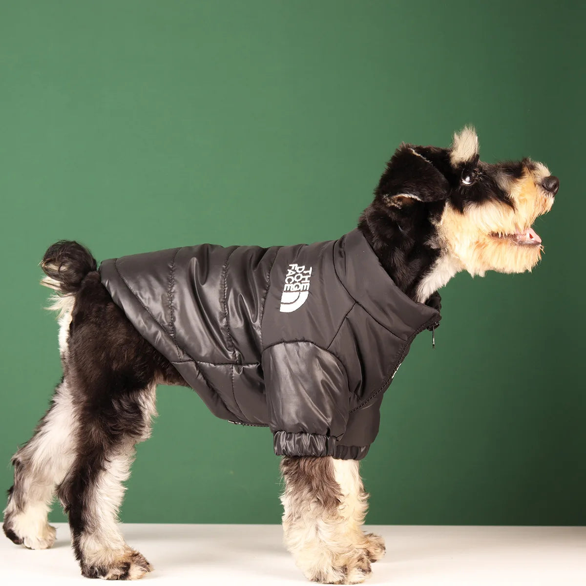 Winter Dog Jacket – Warm, Windproof & Reflective Coat for Small & Medium Dogs