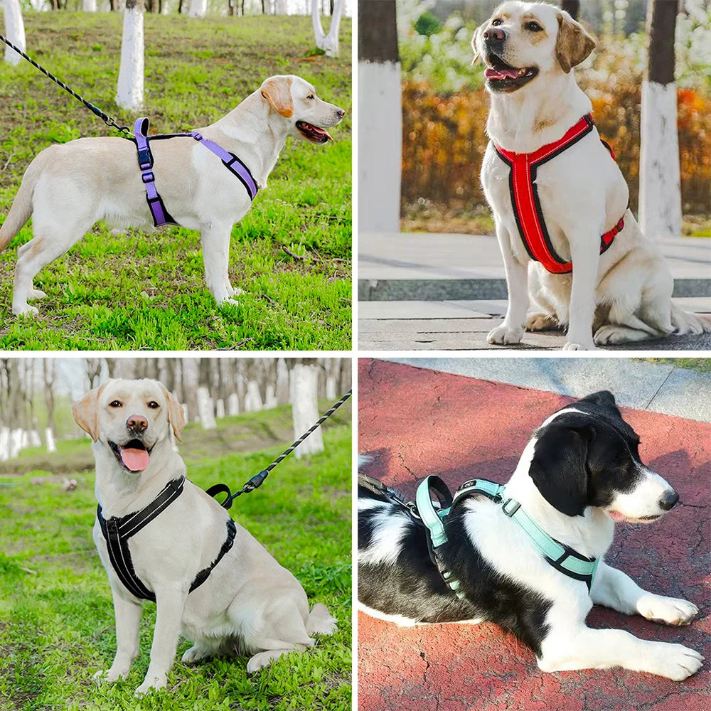Reflective Dog Harness with Handle – Adjustable Vest for Small & Medium Dogs