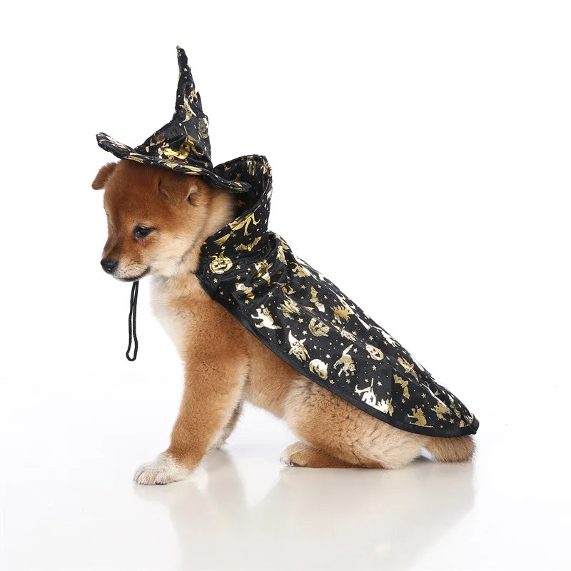 Halloween Witch Costume for Cats & Small Dogs – Hat & Cape Set