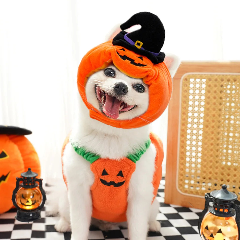Halloween Pumpkin Costume for Cats & Dogs – Cute Hat & Vest