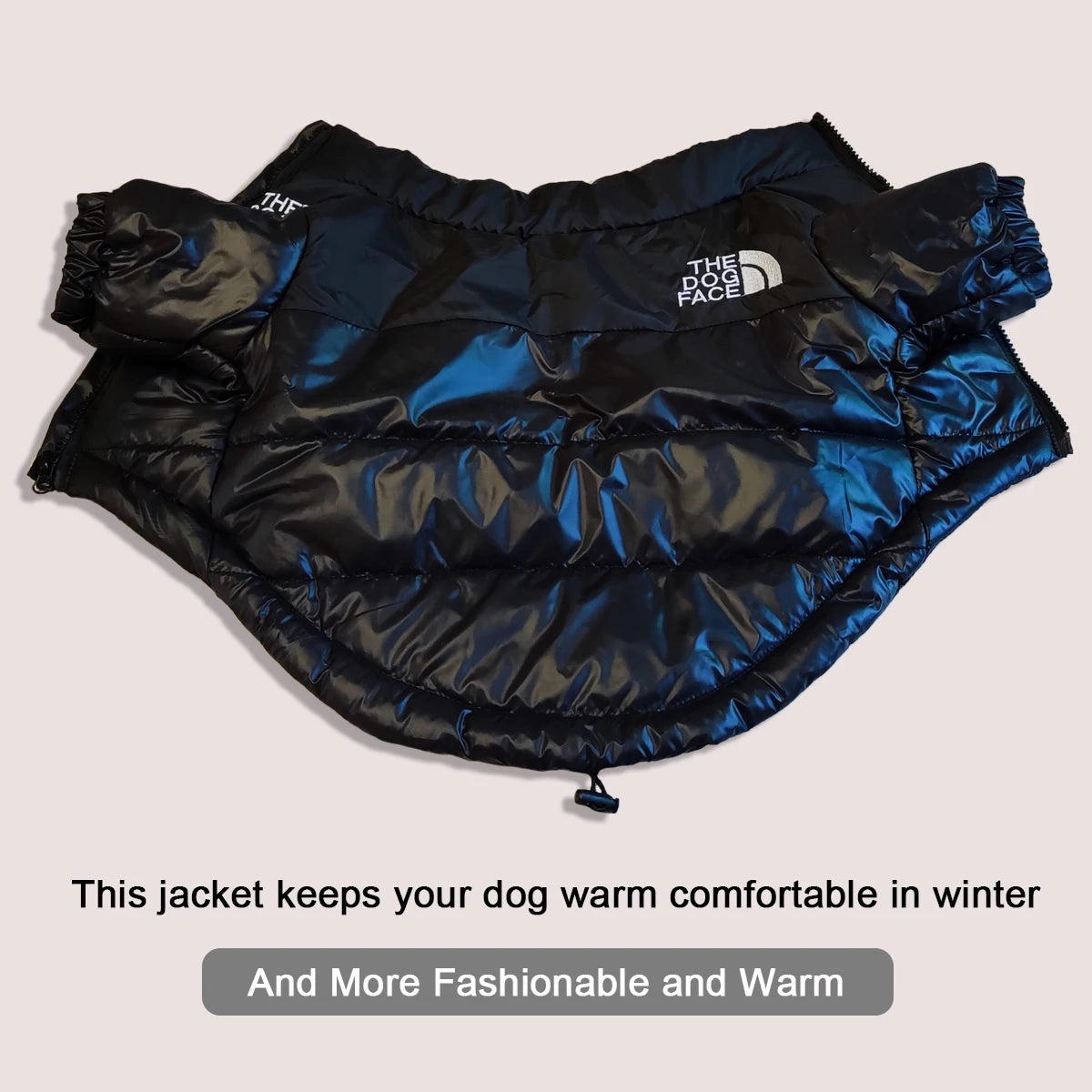 Winter Dog Jacket – Warm, Windproof & Reflective Coat for Small & Medium Dogs