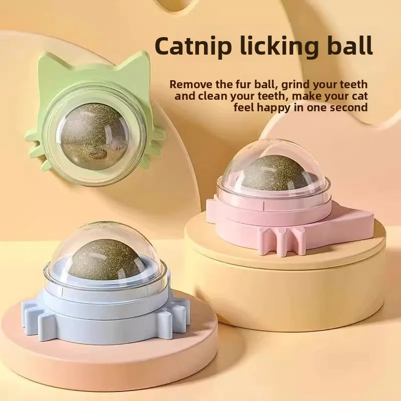 Interactive Catnip Ball – Durable Chew Toy for Cats