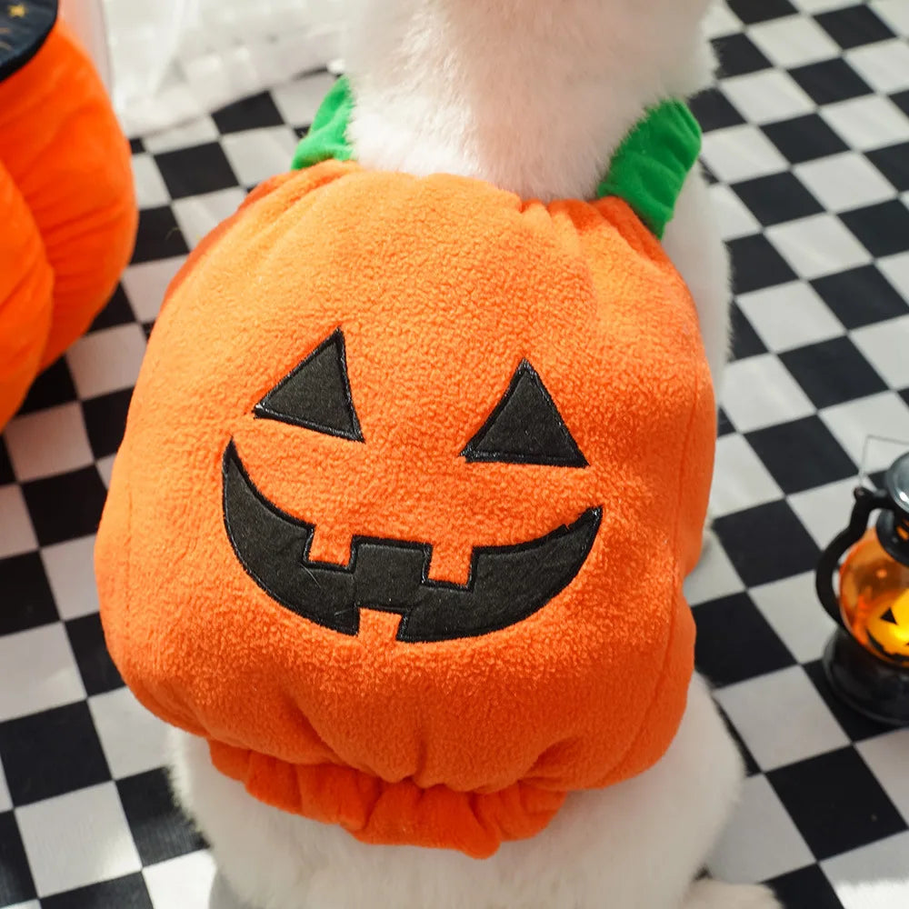 Halloween Pumpkin Costume for Cats & Dogs – Cute Hat & Vest