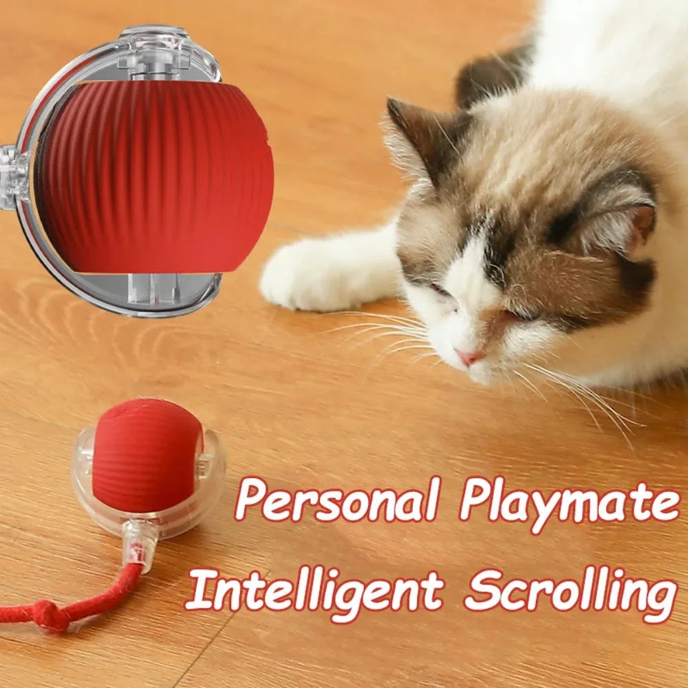 Smart Interactive Cat Ball – Rechargeable Rolling Toy with Faux Tail