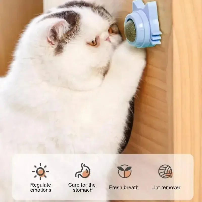 Interactive Catnip Ball – Durable Chew Toy for Cats
